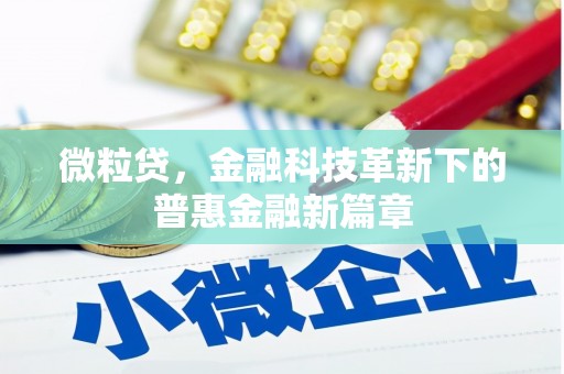 镜铁微粒贷，金融科技革新下的普惠金融新篇章
