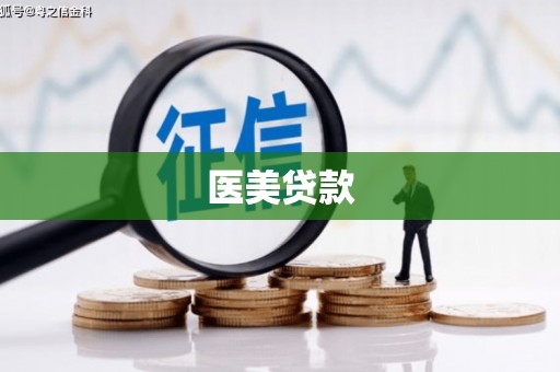 马龙医美贷款