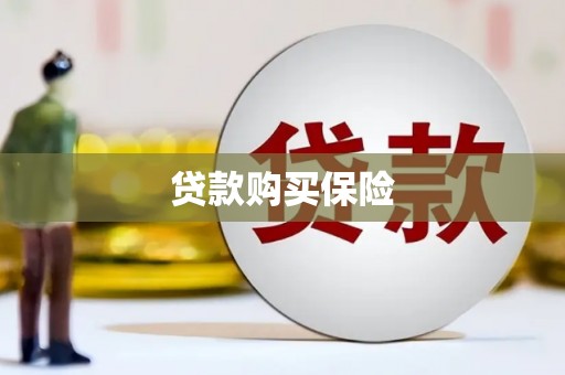 临沧贷款购买保险