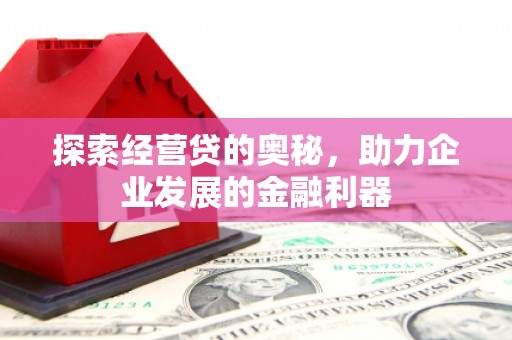 武邑探索经营贷的奥秘，助力企业发展的金融利器