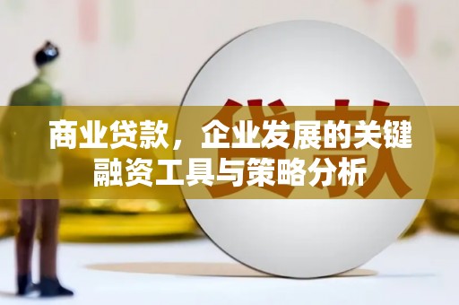 长武商业贷款，企业发展的关键融资工具与策略分析