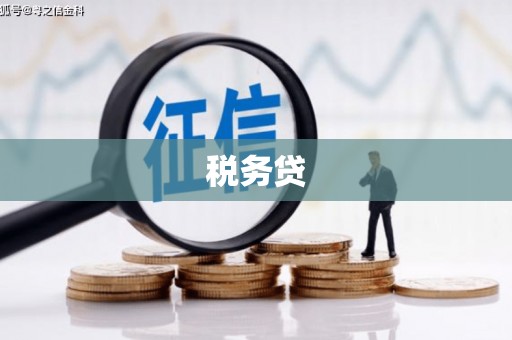 东昌税务贷