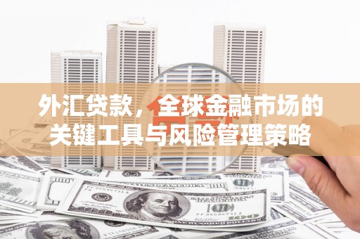 义马外汇贷款，全球金融市场的关键工具与风险管理策略