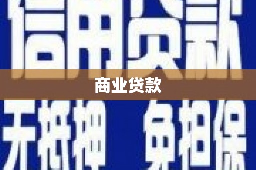 华龙商业贷款
