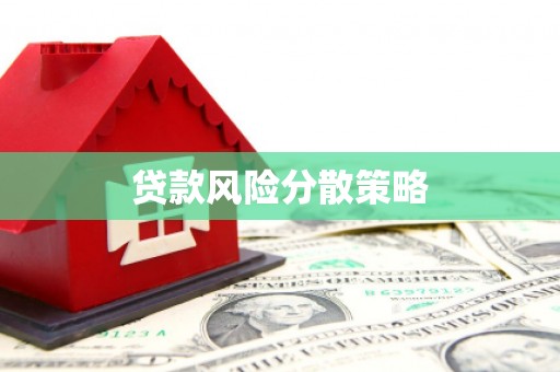盐亭贷款风险分散策略