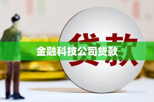 陈巴尔虎旗金融科技公司贷款