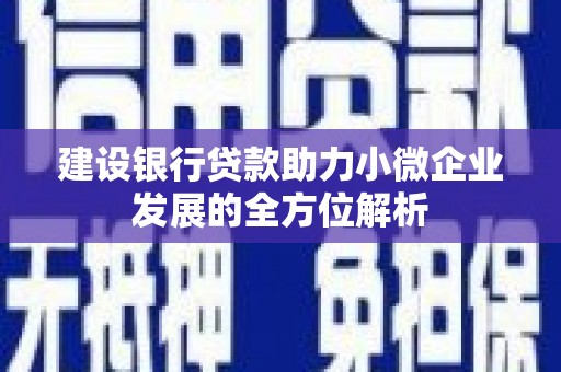 特克斯建设银行贷款助力小微企业发展的全方位解析