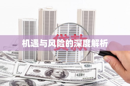 阜康机遇与风险的深度解析