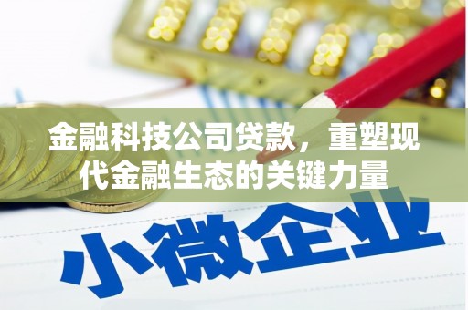 国姓金融科技公司贷款，重塑现代金融生态的关键力量