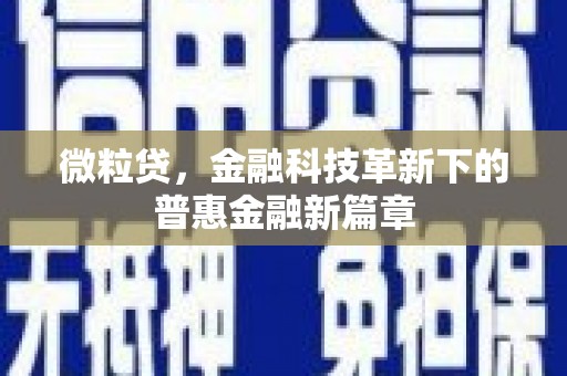 镇原微粒贷，金融科技革新下的普惠金融新篇章