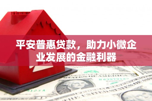 丹徒平安普惠贷款，助力小微企业发展的金融利器