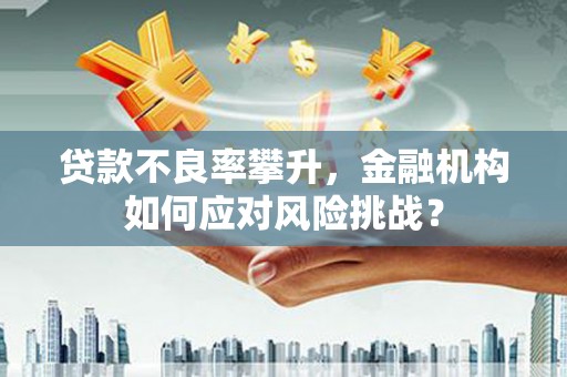 徐汇贷款不良率攀升，金融机构如何应对风险挑战？