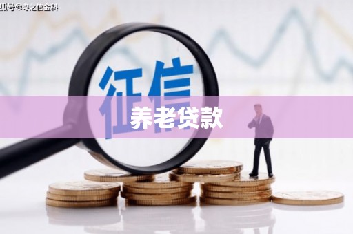 同江养老贷款