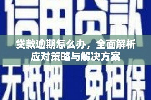 中西区贷款逾期怎么办，全面解析应对策略与解决方案