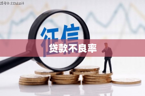 华龙贷款不良率