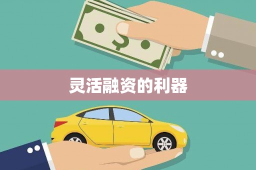 兴县灵活融资的利器