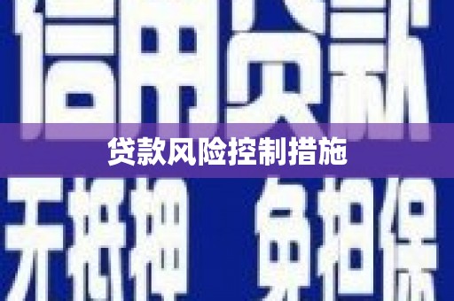 大东贷款风险控制措施