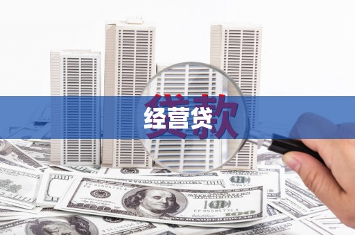 忻府经营贷