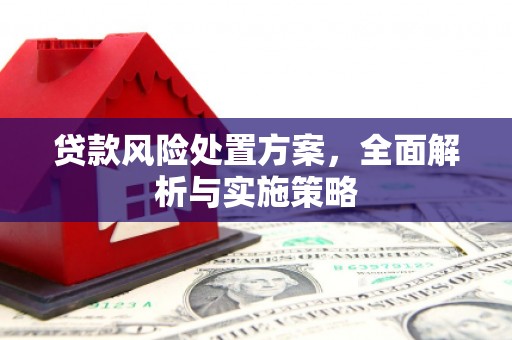 东乡贷款风险处置方案，全面解析与实施策略