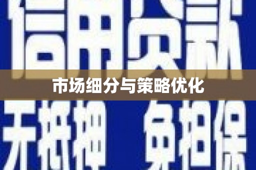 仁寿市场细分与策略优化