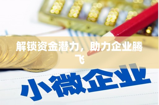 岱山解锁资金潜力，助力企业腾飞