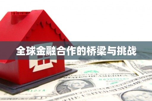 陆川全球金融合作的桥梁与挑战