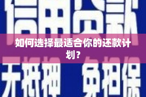 凤岗如何选择最适合你的还款计划？