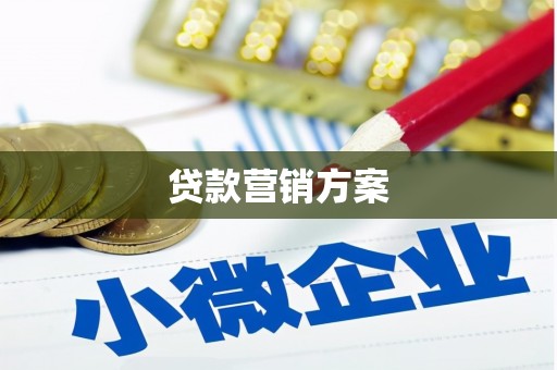 大涌贷款营销方案