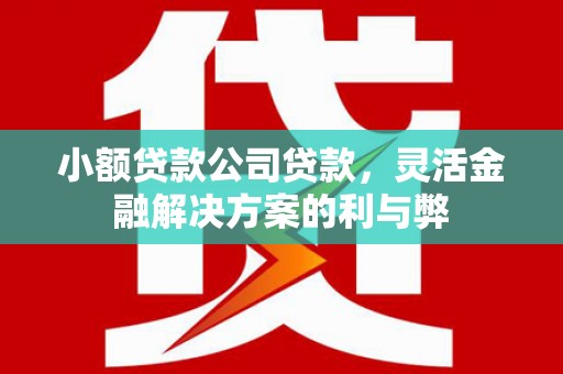 越秀小额贷款公司贷款，灵活金融解决方案的利与弊
