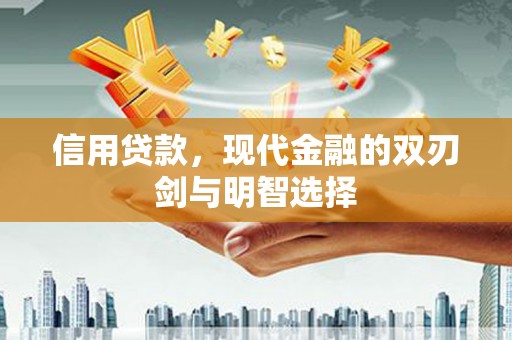 海原信用贷款，现代金融的双刃剑与明智选择